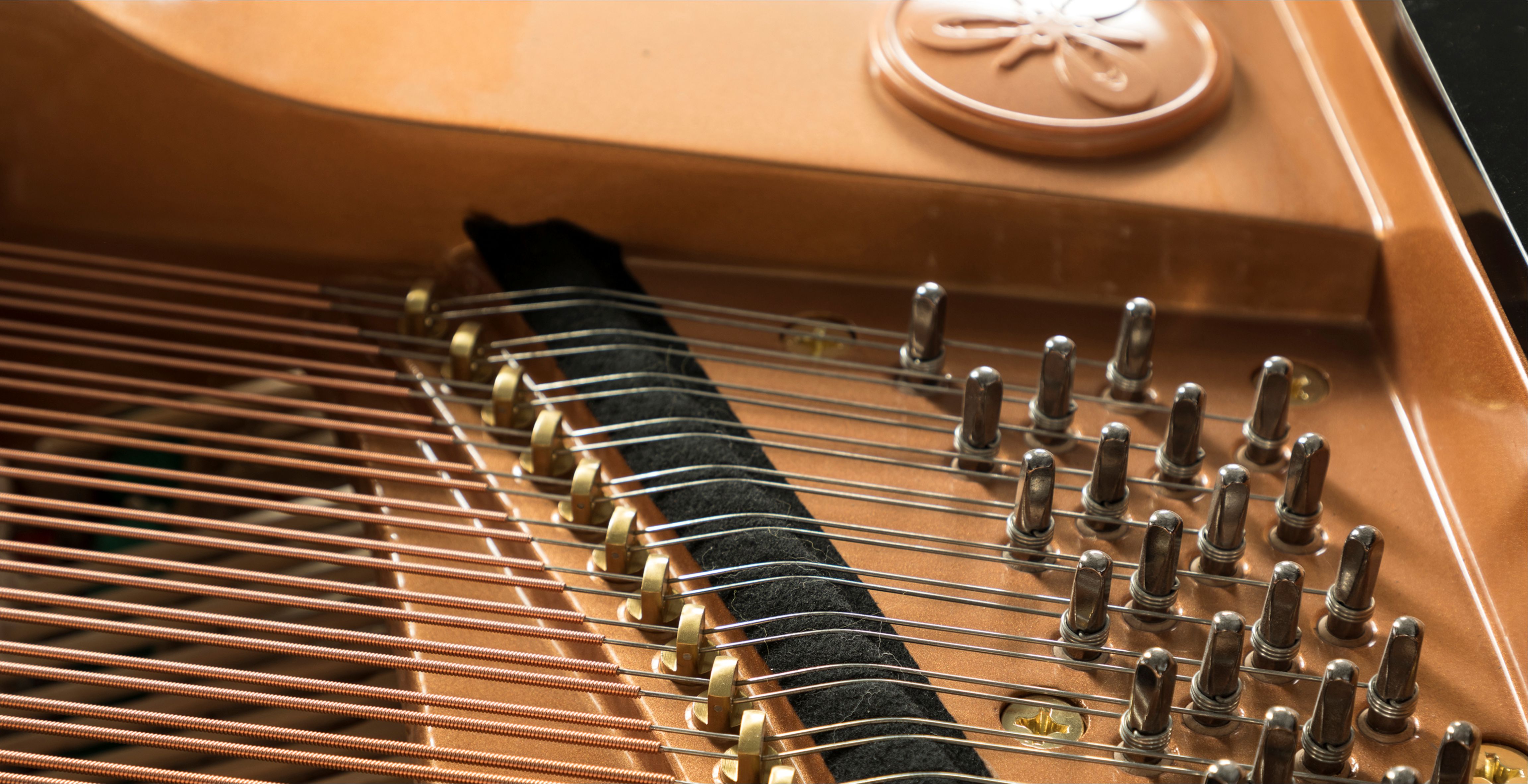 黑色钨钢弦轴钉tungsten steel chord pin钢琴采用了黑色钨钢材疗制